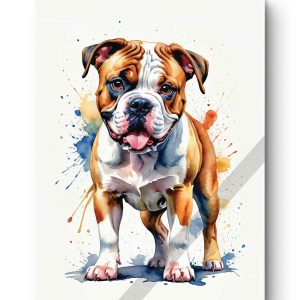 Tableau Bulldog Américain